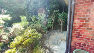 枝落とし作業後