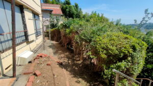 庭木刈込作業後