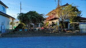 植木伐採　キウイ枝落とし作業中