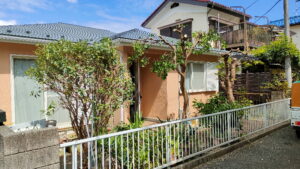 枝落とし剪定後