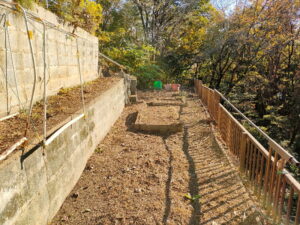 草刈り伐採清掃後