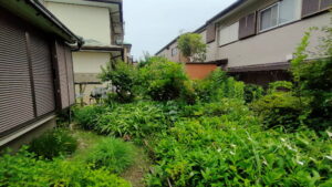 草刈り庭木剪定前