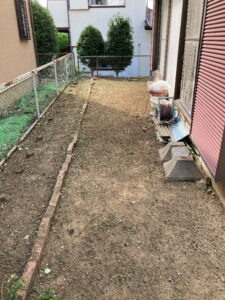 ドクダミ草刈り後