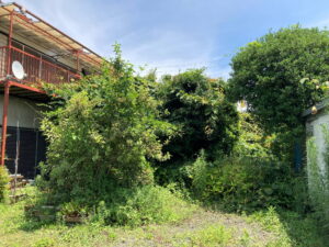 庭木伐採枝落とし前