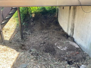 ベランダ下植木片付け作業後