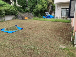 草刈り作業途中