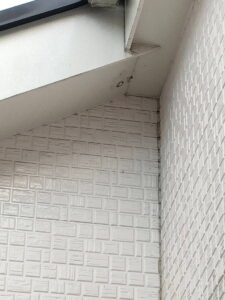 アシナガ蜂巣の撤去後