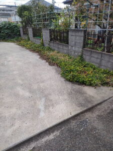 駐車場草刈り前