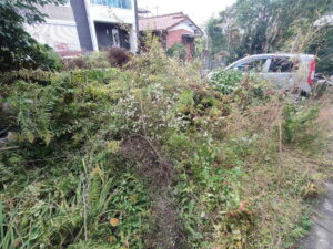 伐採枝搬出片付け前