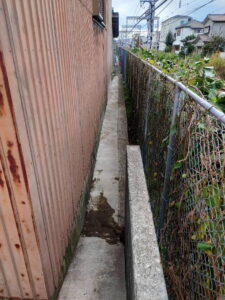 葛グリーンモンスター草刈り後