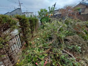 伐採枝落とし植木ごみ積込み前