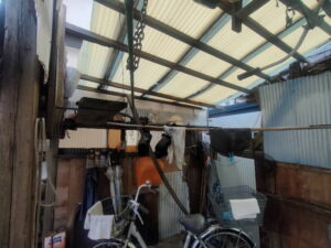 木製テラス内片付け前