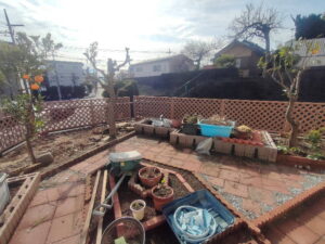 伐採植木ゴミ搬出後