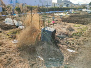 畑の草取り畑道具の片付け前