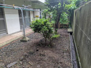 マンション専用庭草刈り完了後2