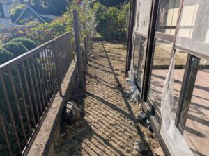 草刈り草焼き後