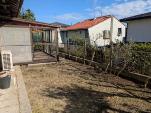 草刈り枝落とし後