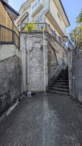 外壁ツタ撤去前