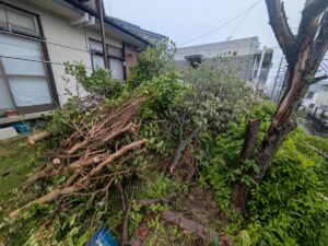 庭植木伐採枝搬出前