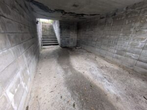 駐車場伐採枝搬出後