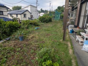 庭伐採枝搬出後