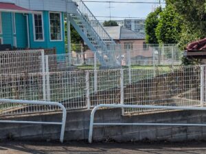 フェンスツタ取り草刈り後